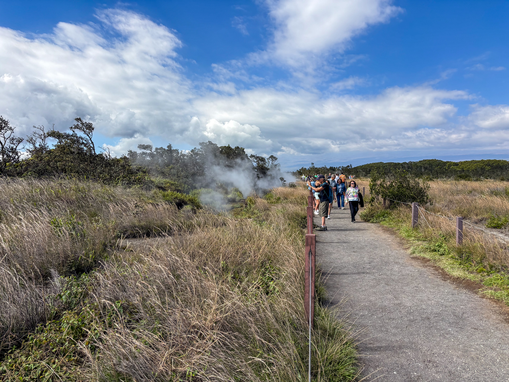 IMG_4865